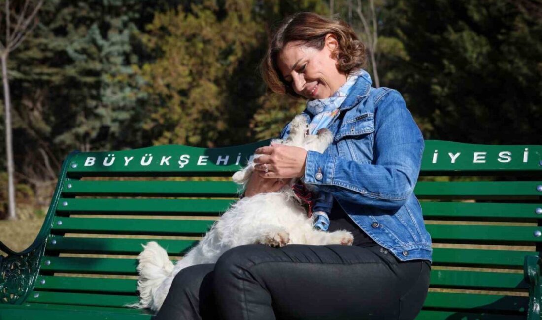 Başkan Ünlüce’den vatandaşlara sahiplenme çağrısı Eskişehir Büyükşehir Belediye Başkanı Ayşe Ünlüce, barınaktan köpek sahiplenmesinin ardından