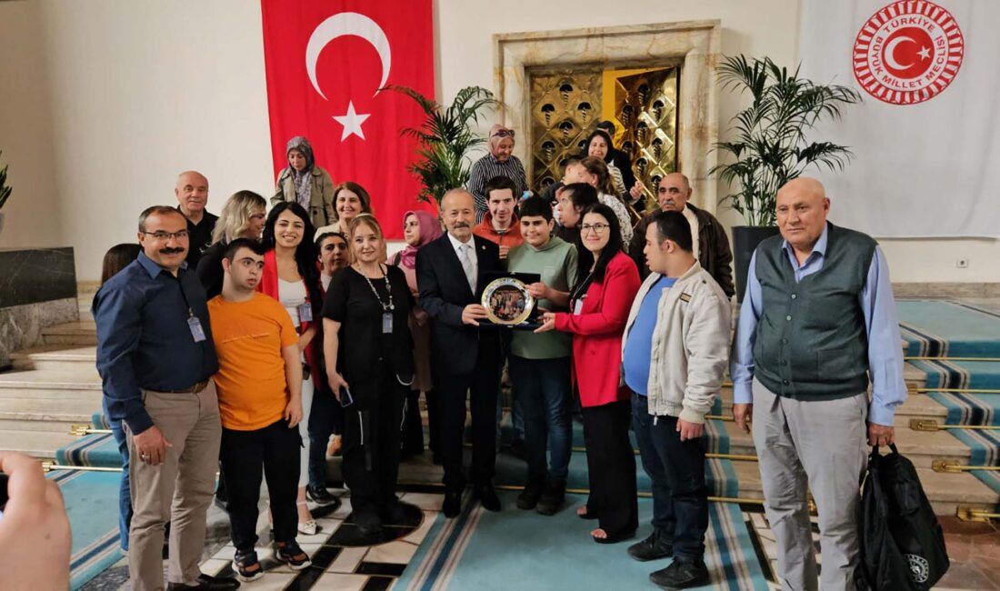 Milliyetçi Hareket Partisi (MHP) Afyonkarahisar Milletvekili Mehmet Taytak, Kent ve