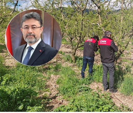 ‘Tarihin en büyük zirai don olaylarından birisi yaşandı’ Son günlerde hava sıcaklıklarındaki ani düşüşler sonrası tarihin en büyük