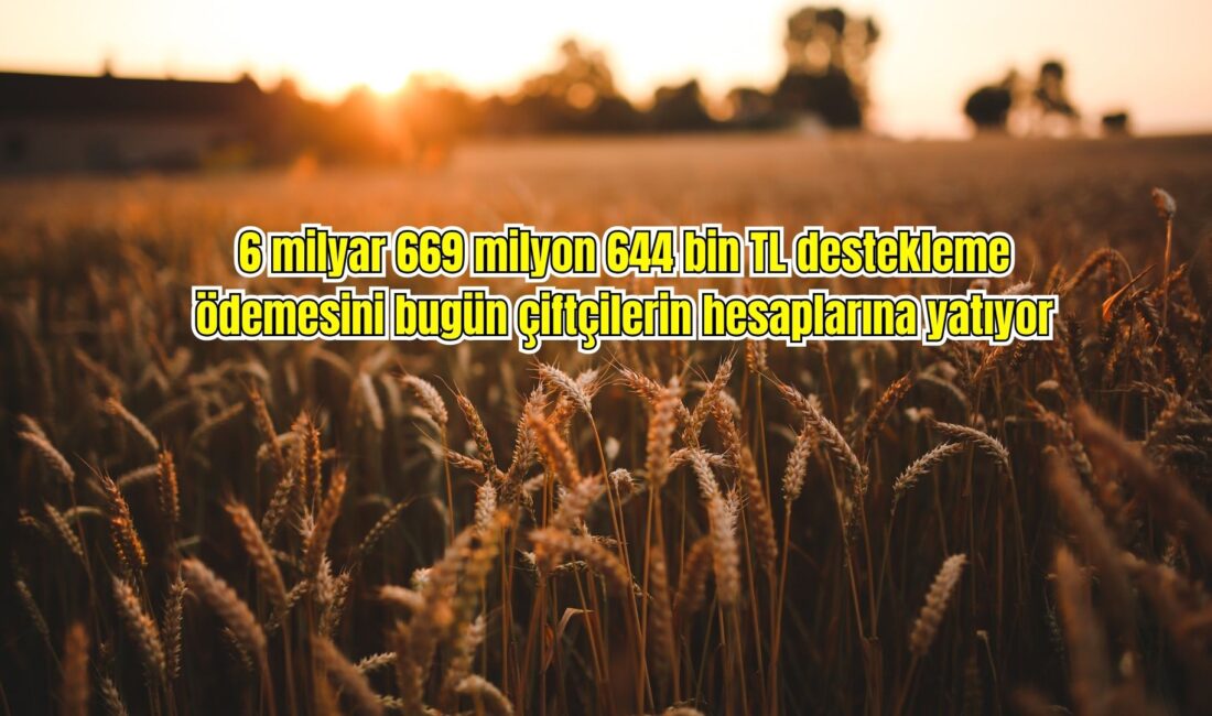 Tarım ve Orman Bakanlığı, 6 milyar 669 milyon 644 bin
