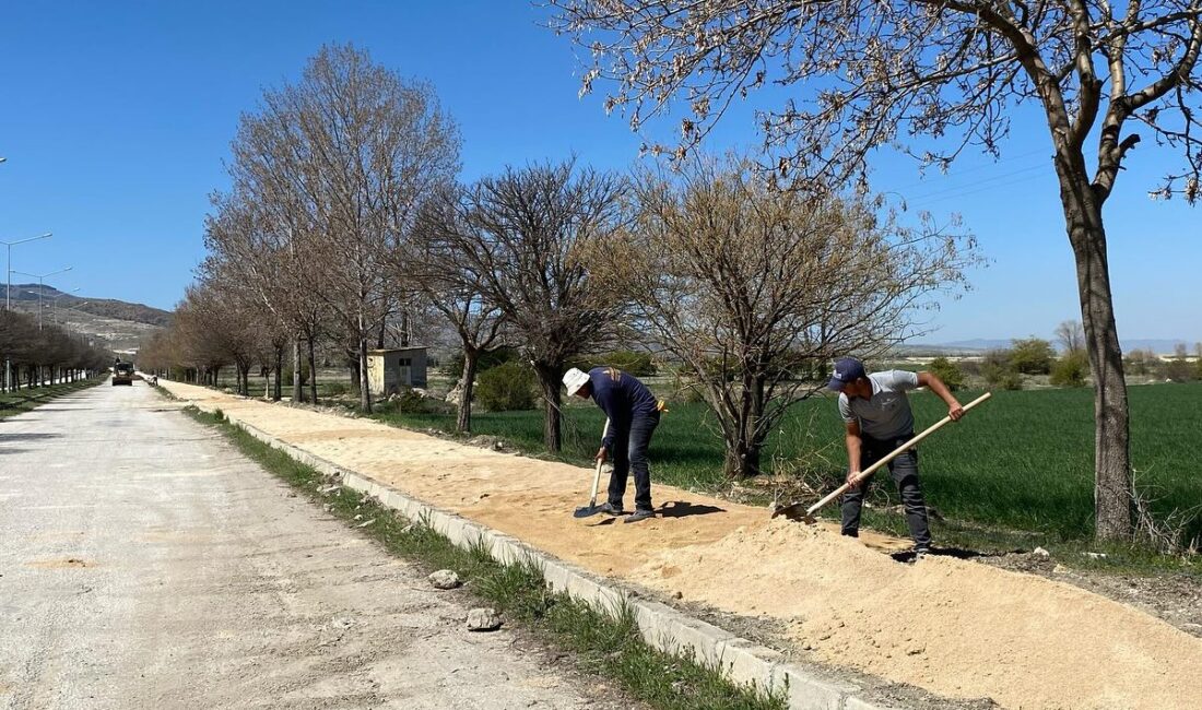 Bolvadin Belediyesi tarafından Bolvadin Termal Tesisleri’nde sezon öncesi yoğun mesai