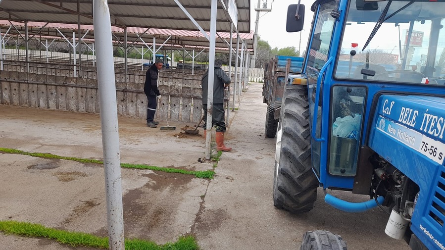 Çay’da dezenfekte edilen hayvan pazarı yeniden açıldı Çay Belediyesi, ilçedeki hayvan pazarında kapsamlı temizlik ve dezenfeksiyon çalışmaları