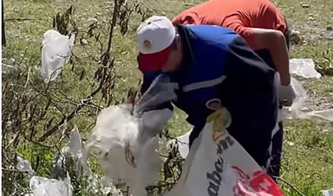 Çay Belediyesi tarafından Çay Toki Çiftlik Yolu’nda kapsamlı bir mıntıka