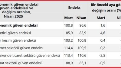 Türkiye İstatistik Kurumu (TÜİK) nisan ayı Ekonomik Güven Endeksini açıkladı.