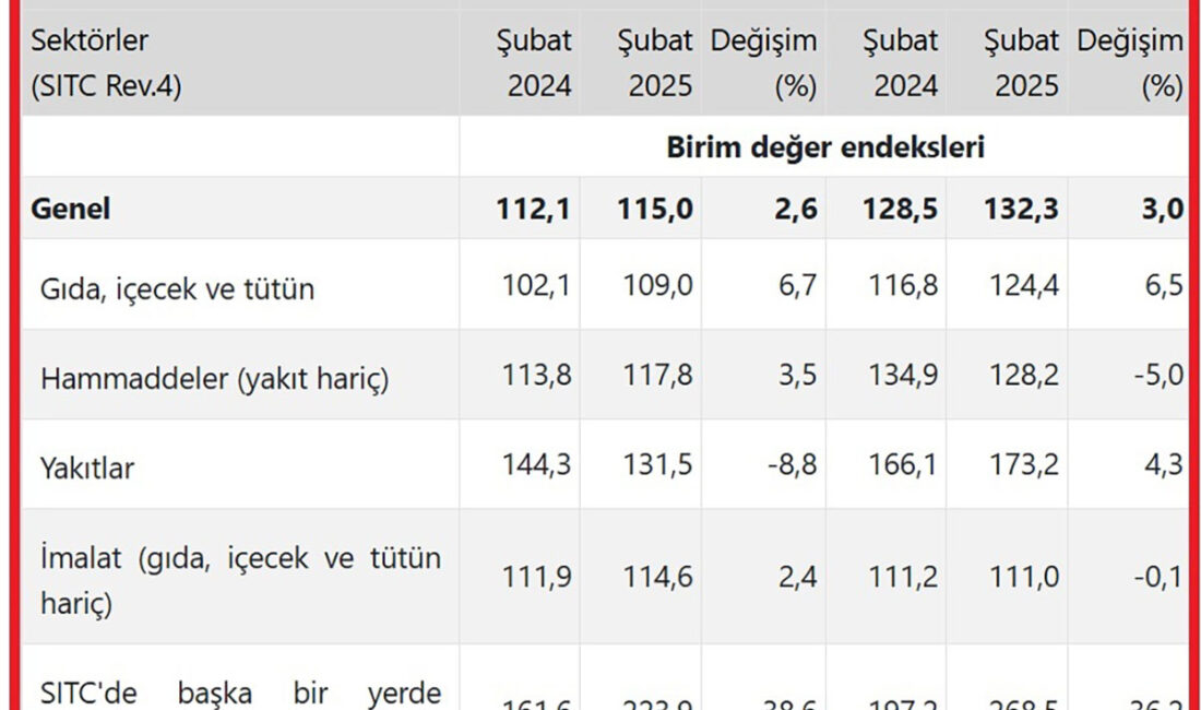 Şubat ayına ilişkin dış ticaret endekslerini açıklayan Türkiye İstatistik Kurumu