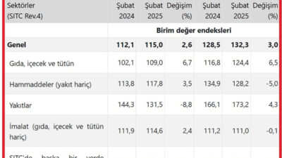Şubat ayına ilişkin dış ticaret endekslerini açıklayan Türkiye İstatistik Kurumu