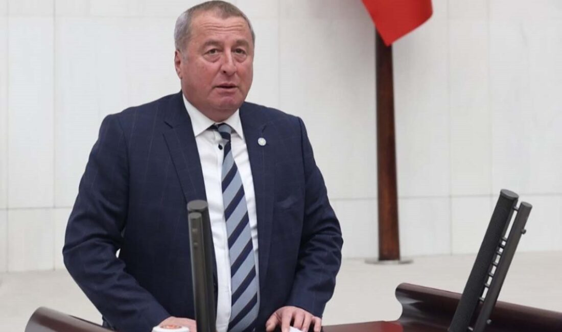 İYİ Parti Genel Başkan Yardımcısı, Afyonkarahisar Milletvekili Hakan Şeref Olgun,