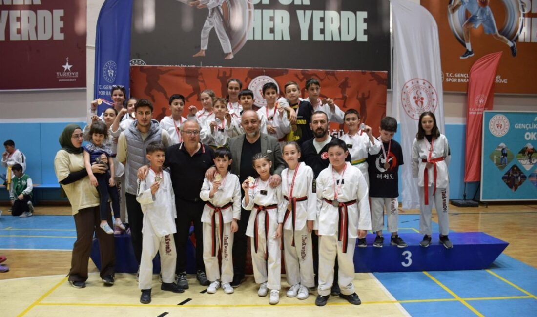 Afyonkarahisar’da 23 Ulusal Egemenlik ve Çocuk Bayramı dolayısıyla düzenlenen Taekwondo