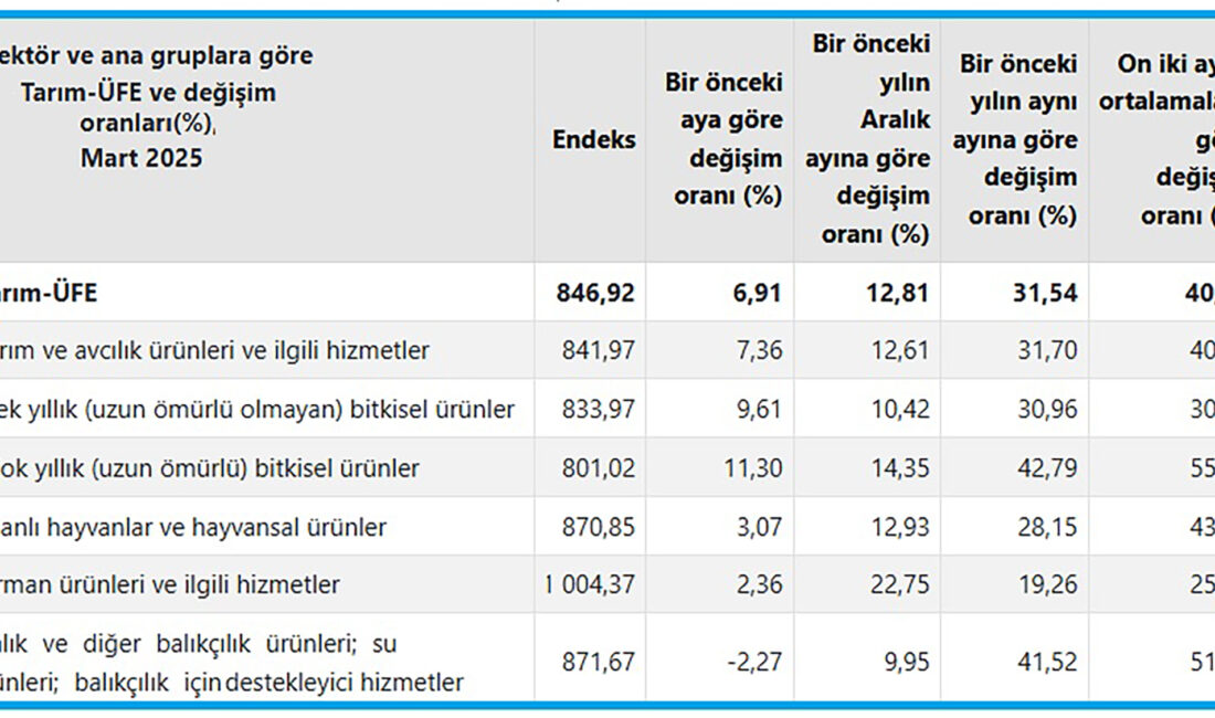 Tarım ürünleri üretici fiyat endeksi yıllık yüzde 31,54 arttı Türkiye İstatistik Kurumu (TÜİK), mart ayına ilişkin Tarım Ürünleri Üretici