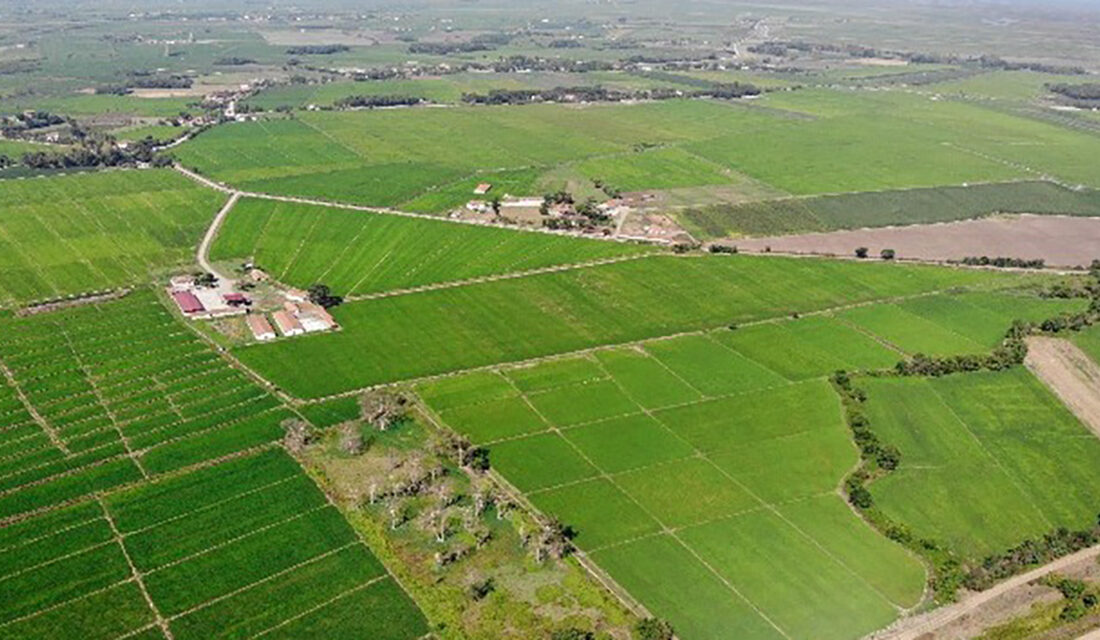Gürer’in paylaştığı verilere göre, sadece mart ayında toplam 2 bin
