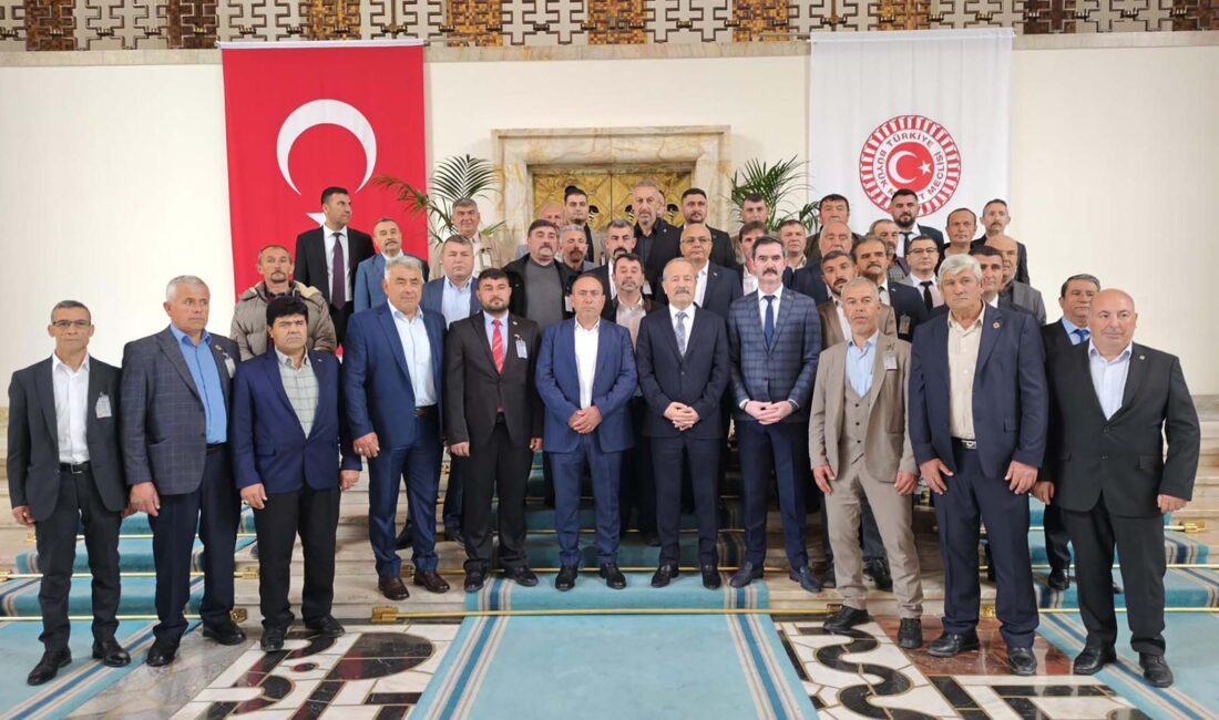 Milliyetçi Hareket Partisi (MHP) Afyonkarahisar Milletvekili Mehmet Taytak, köy ve