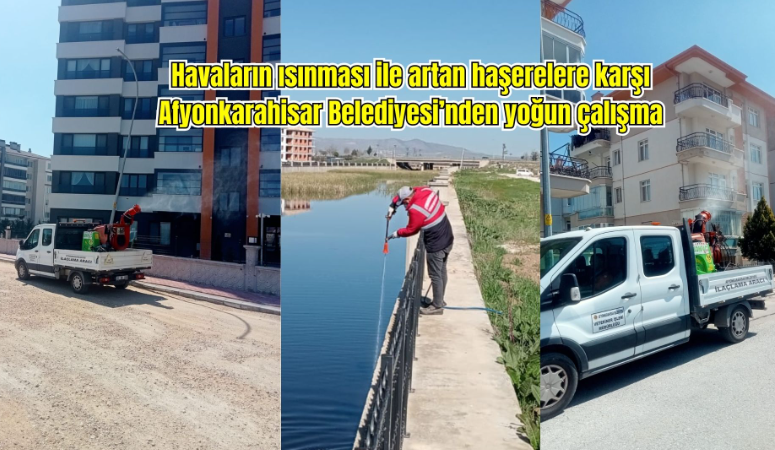 Afyonkarahisar Belediyesi Veteriner İşleri Müdürlüğü, son günlerde artış gösteren böcek