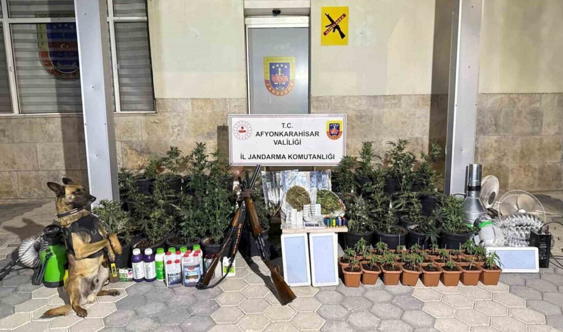 Afyonkarahisar’da jandarmadan uyuşturucu operasyonu Afyonkarahisar İl Jandarma Komutanlığı ekipleri yaptığı operasyonda çeşitli türlerde uyuşturucu