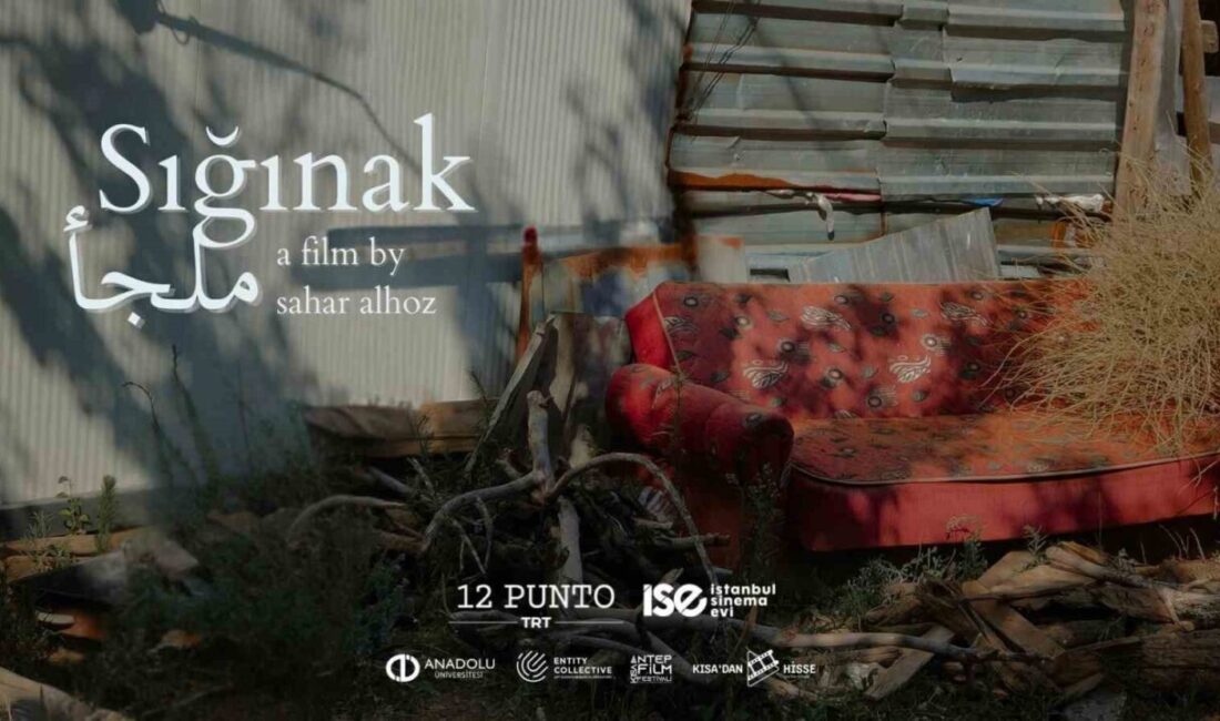 Türkiye’de sinema sektörüne yönelik geçekleştirilen ilk ve tek proje olma