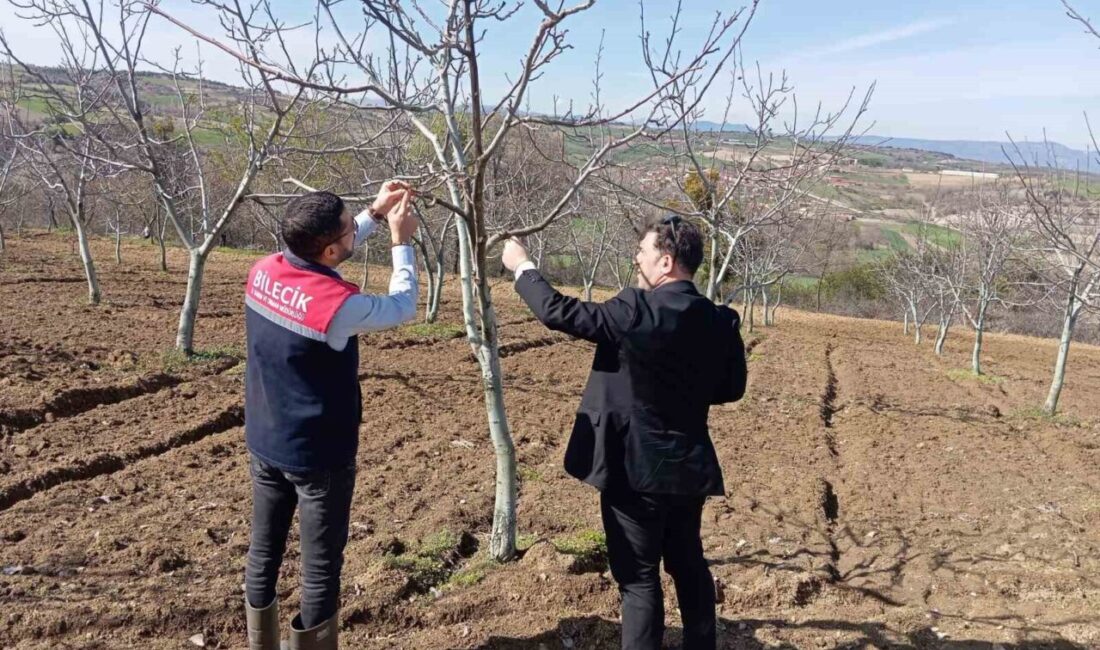 Bilecik’te don afeti sonrası hasar tespit çalışmaları devam ediyor Bilecik’te geçtiğimiz gün yaşanan don olayının ardından hasar tespit çalışmaları