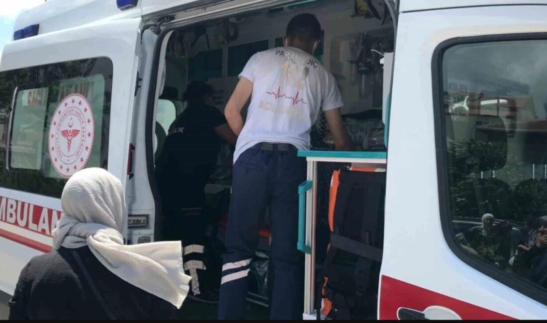 Bilecik’te otomobil çarptığı çocuk yaralandı Bilecik’te meydana gelen trafik kazasında, seyir halindeki bir otomobilin çarptığı