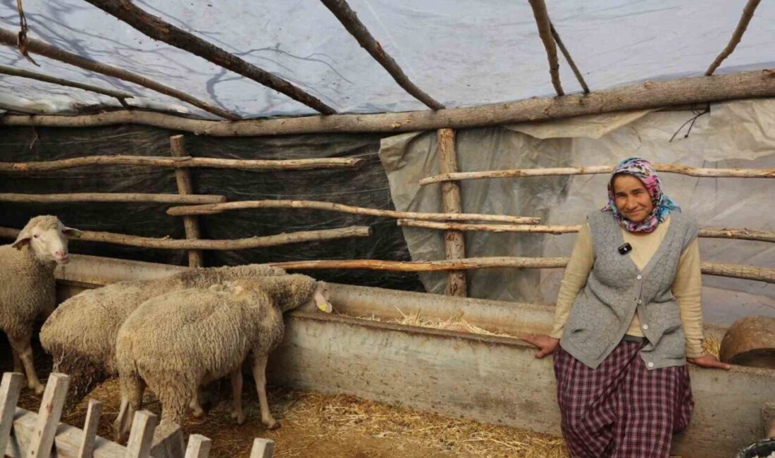 Eskişehir Büyükşehir Belediyesi, kırsal kalkınmayı desteklemek amacıyla küçük üreticilere verdiği