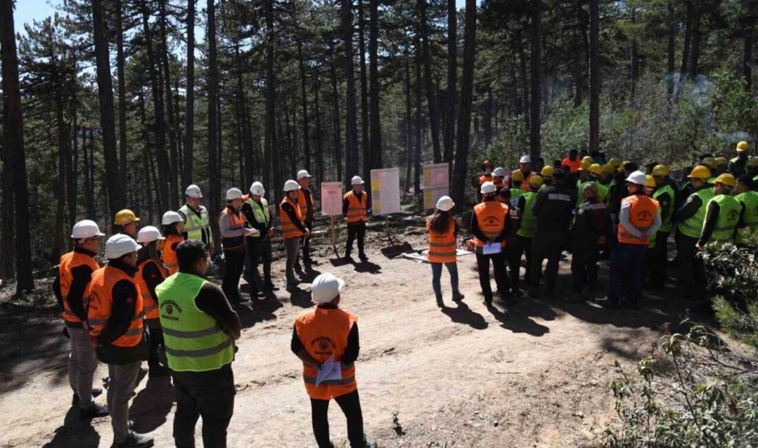 Eskişehir’de Orman Üretim Tatbikatları sona erdi Eskişehir Orman Bölge Müdürlüğü’nün düzenlediği üretim tatbikatları, Mihalıççık ve Çatacık