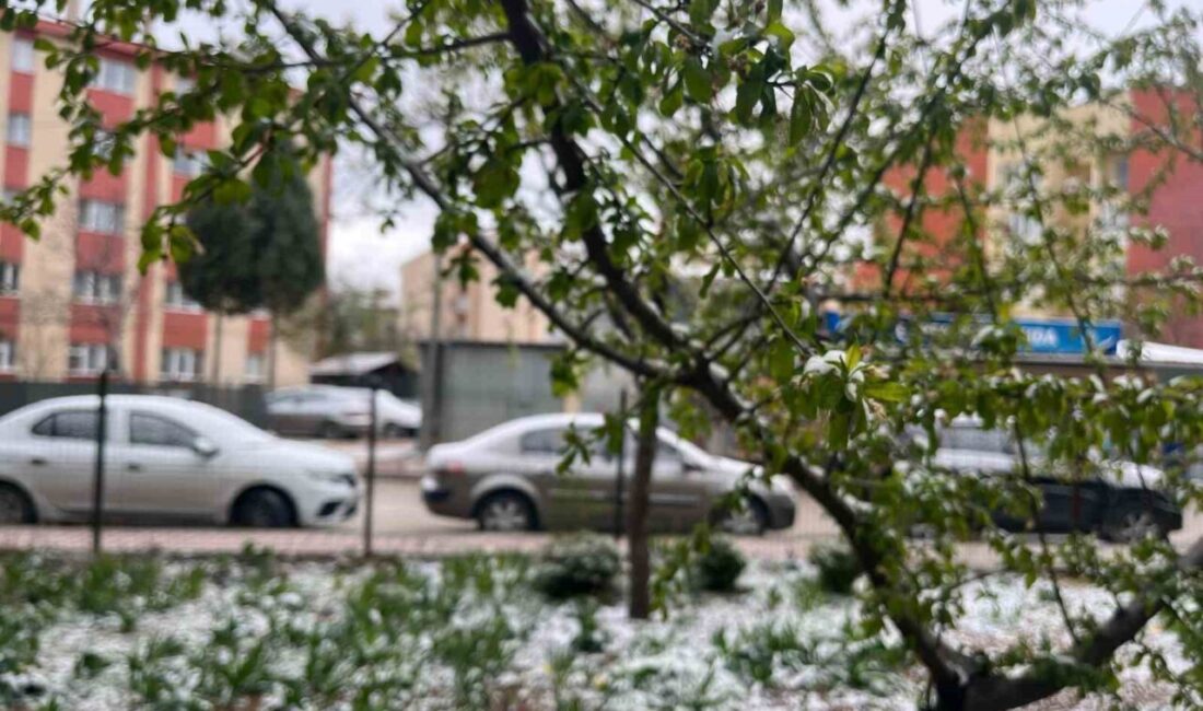 Eskişehir’in yüksek kesimlerin de etkili olan kar yağışıyla birlikte bazı