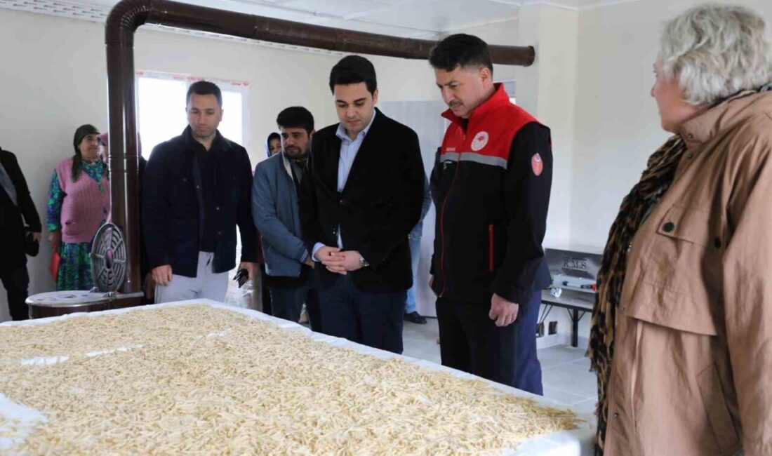 Eskişehir’de ’Frig Vadisi Ekolojik Köy Projesi’ çerçevesinde, Han İlçesi’ne Gökçekuyu