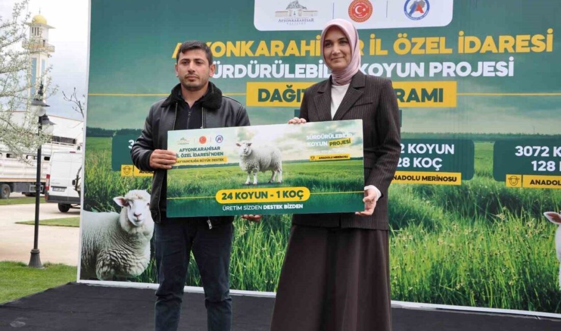 İl genelindeki 127 yetiştiriciye 3 bin 72 koyun ve 128 koç teslim edildi Afyonkarahisar Valisi Doç. Dr. Kübra Güran Yiğitbaşı’nın öncülüğünde hayata geçirilen