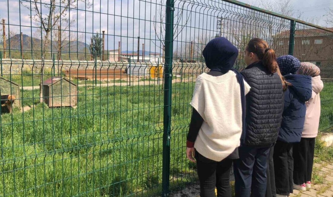 İmam hatip öğrencileri E-twinning projesi kapsamında hayvan barınağını ziyaret etti Bilecik’in Osmaneli İlçesindeki Şehit Osman Er Anadolu İmam Hatip Lisesi,
