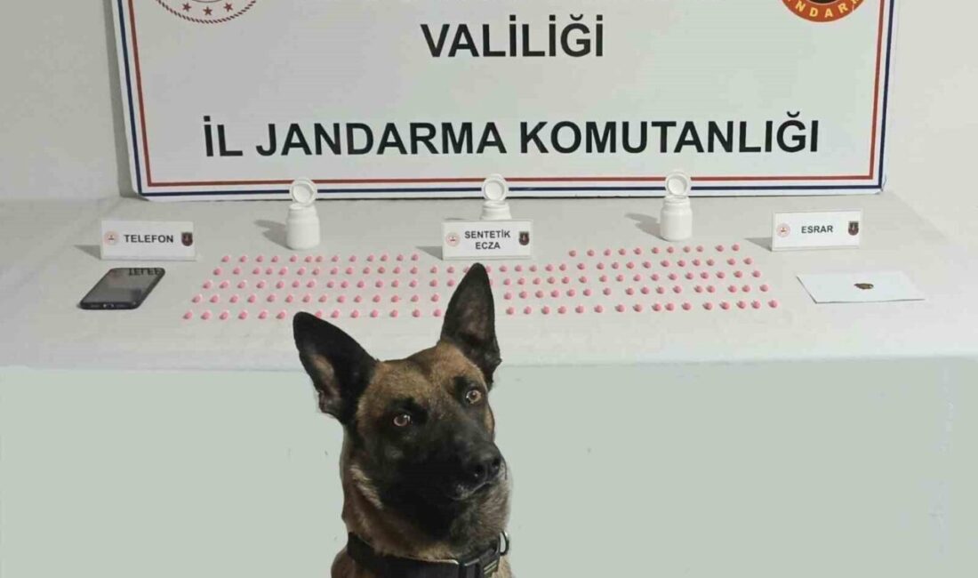 Afyonkarahisar’da aldığı bir ihbarı değerlendiren jandarma ekipleri uyuşturucu satmaya giden