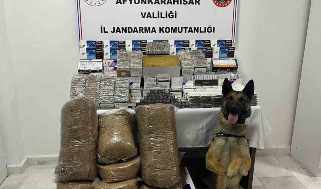 Jandarmadan kaçak makaron operasyonu Afyonkarahisar’da jandarma tarafından bir iş yerine yapılan baskında 15 bin