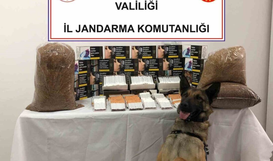 Jandarmadan kaçak makaron operasyonu Afyonkarahisar’da jandarma bir iş yerine yapılan baskında 6 bin 320