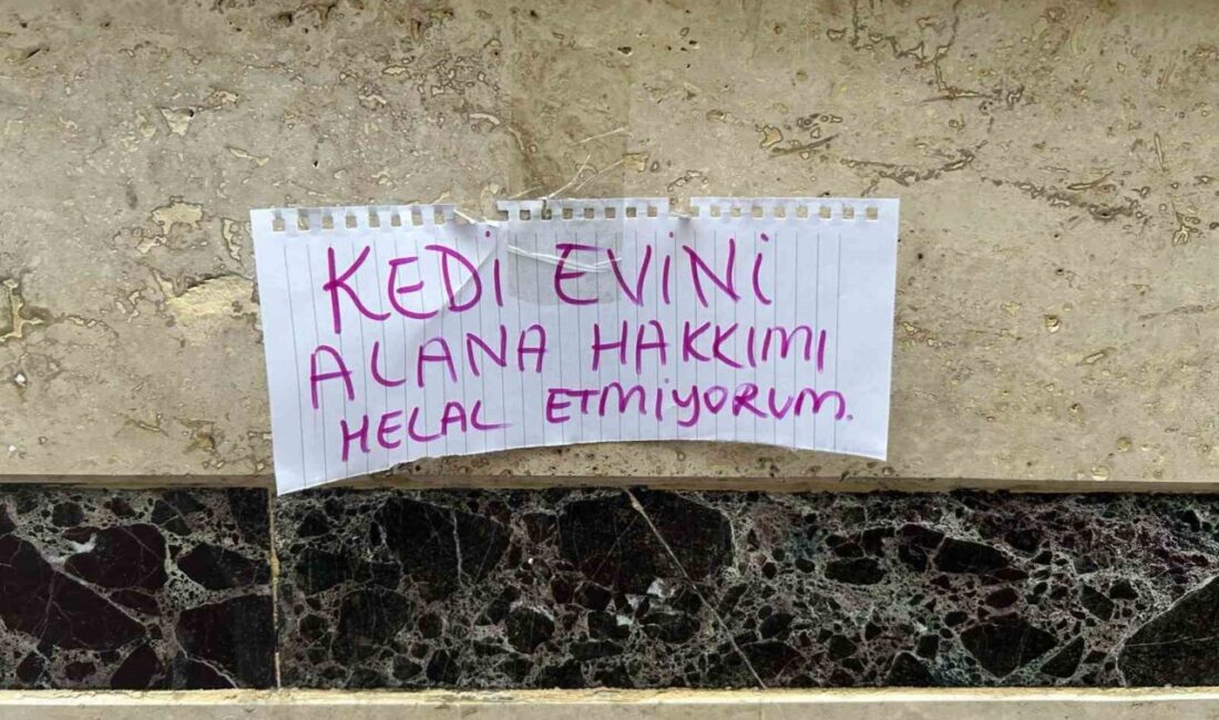 Kedi evini çalanlara hakkını helal etmedi Eskişehir’de bir hayvanserver vatandaş, beslediği kedi evinin bulunduğu yerden alınmasına,