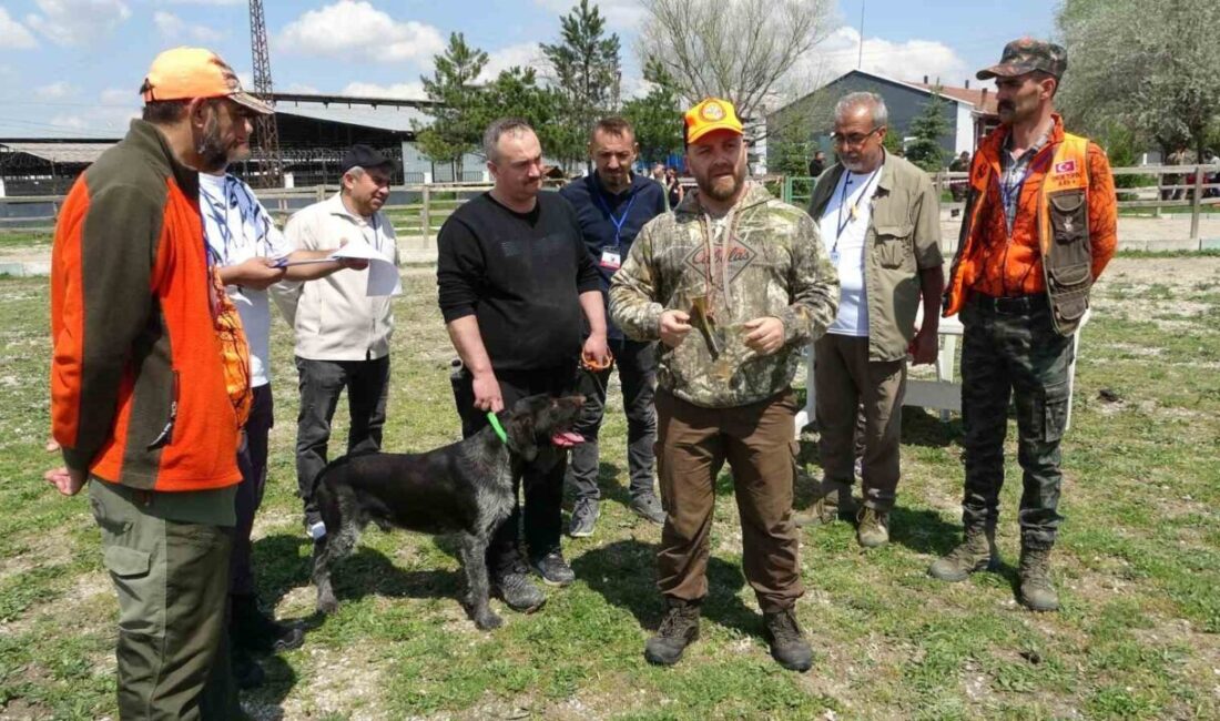 Kütahya’da Fermalı Av Köpekleri Mera Yarışması düzenlendi Kütahya Merkez Avcılar Kulübü tarafından düzenlenen ’1. Geleneksel Fermalı Av