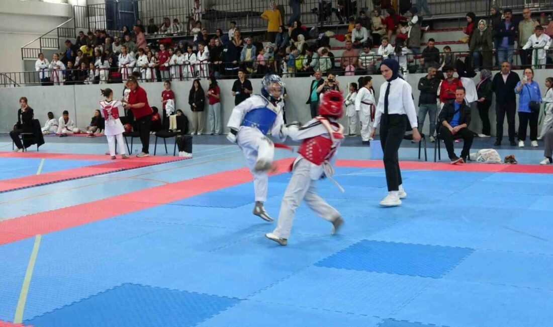 Kütahya’da Minikler Taekwondo Yarışmaları ilgi gördü Kütahya Spor Lisesi Spor Salonu’nda, Taekwondo Kütahya İl Temsilciliği tarafından