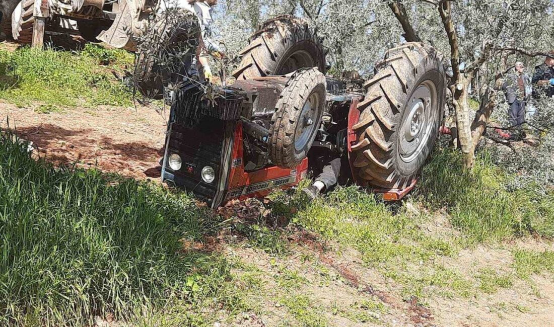Osmaneli‘de traktör kazası: 1 ölü Bilecik’in Osmaneli ilçesinde meydana gelen traktör kazasında bir kişi hayatını
