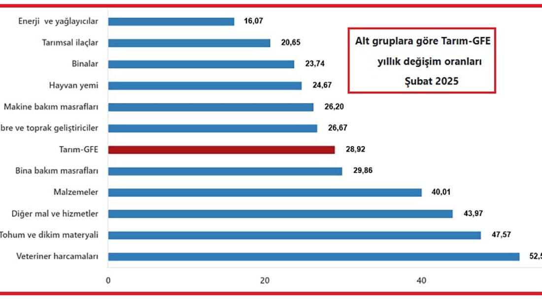 Türkiye İstatistik Kurumu (TÜİK) tarafından yapılan açıklamaya göre, Tarım-GFE’de (2020=100),