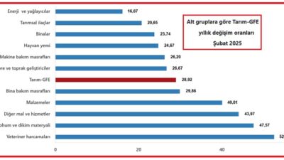 Türkiye İstatistik Kurumu (TÜİK) tarafından yapılan açıklamaya göre, Tarım-GFE’de (2020=100),