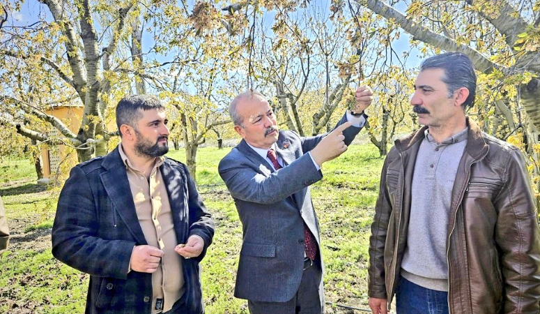 Taytak, dondan etkilenen çiftçiler ile bir araya geldi Türkiye Genelinde Nisan Ayında Hava Sıcaklığının Sıfır Derecenin Altına Düştüğü