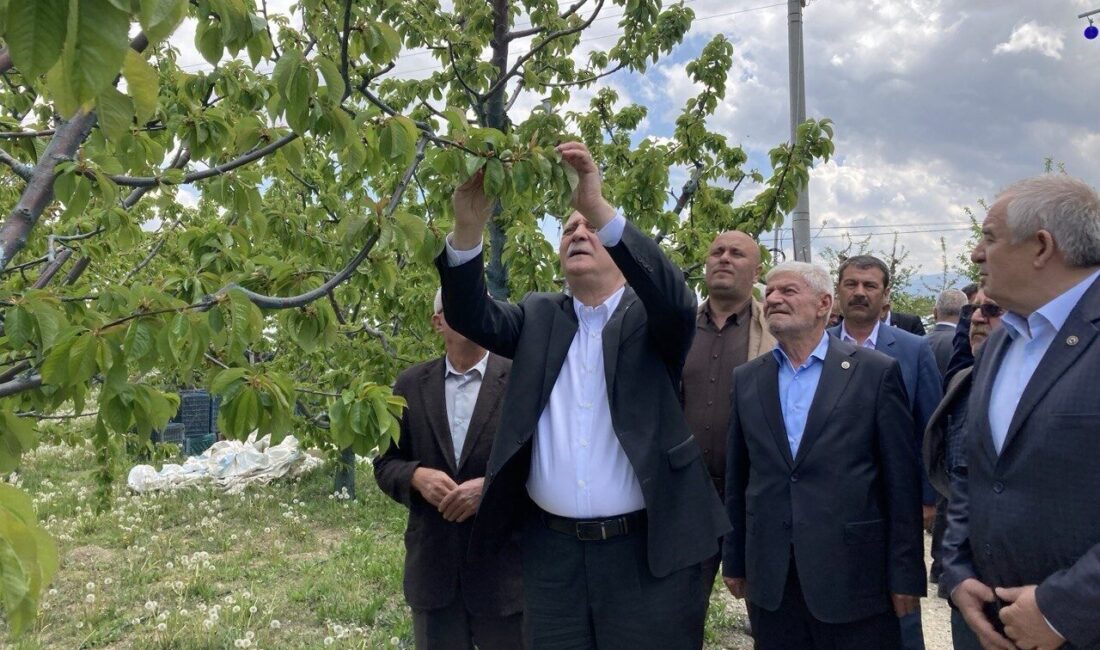 Türkiye Ziraat Odaları Birliği (TZOB) Genel Başkanı Şemsi Bayraktar, bu