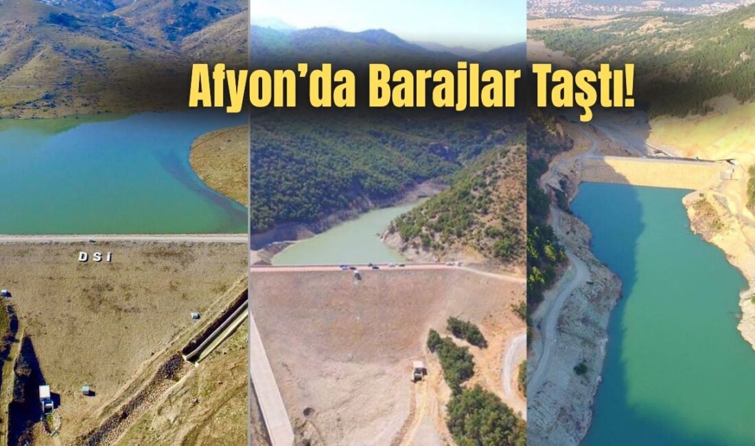 Tarım ve Orman Bakanlığı Devlet Su İşleri (DSİ) Genel Müdürü