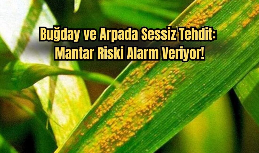 Afyonkarahisar İl Tarım ve Orman Müdürlüğü, mevsimsel yağışlar ve artan