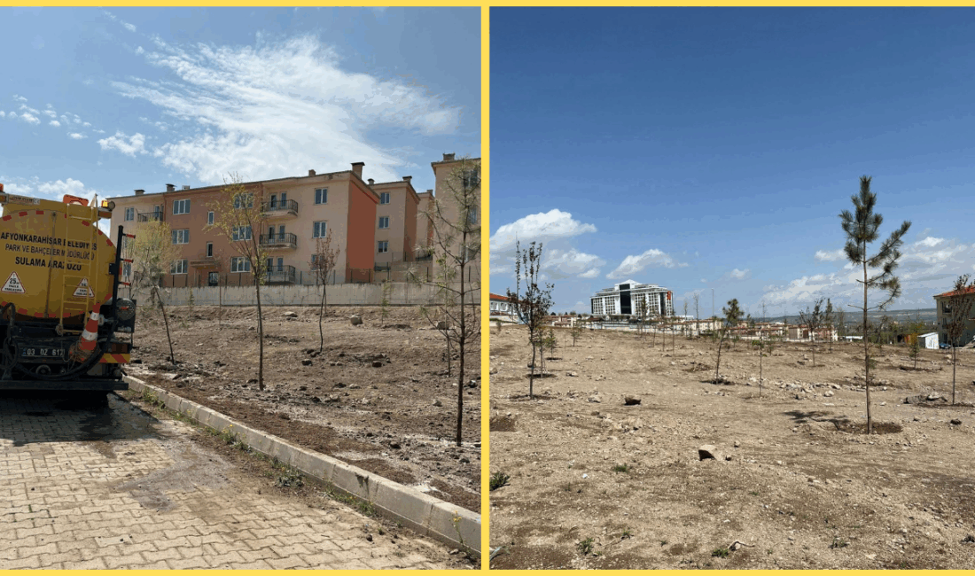Dörtyol mahallesine ağaç dikimi gerçekleşti Afyonkarahisar Belediyesi Park ve Bahçeler Müdürlüğü tarafından Dörtyol mahallesine ağaç