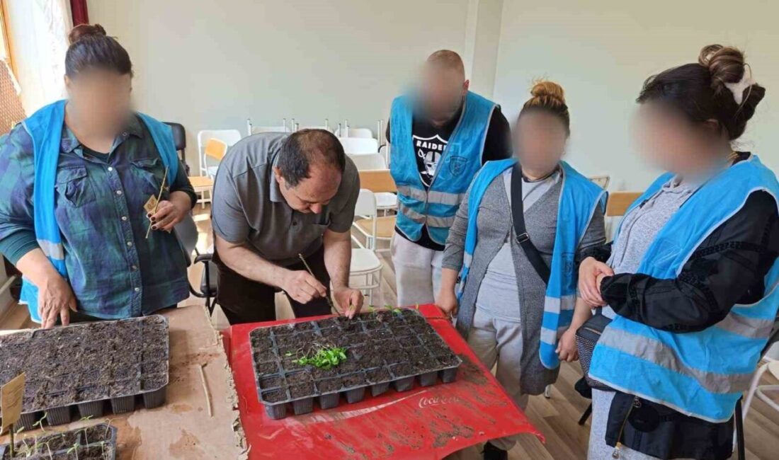 Yükümlülerin ektiği tohumlardan çıkacak ürünler ihtiyaç sahiplerine dağıtılacak Eskişehir’de yükümlüler tarafından viyollere dikilen ve yetiştirilecek tohumlardan çıkacak ürünlerin