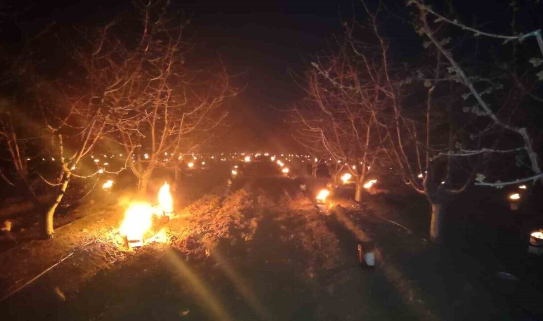 Eskişehir İl Tarım Müdürlüğü, gece sıcaklıklarının eksi değerlere düşmesi üzerine