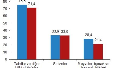 TÜİK, bu yıla ait Bitkisel Üretim 1. Tahminini’ açıkladı: “Tahıllar