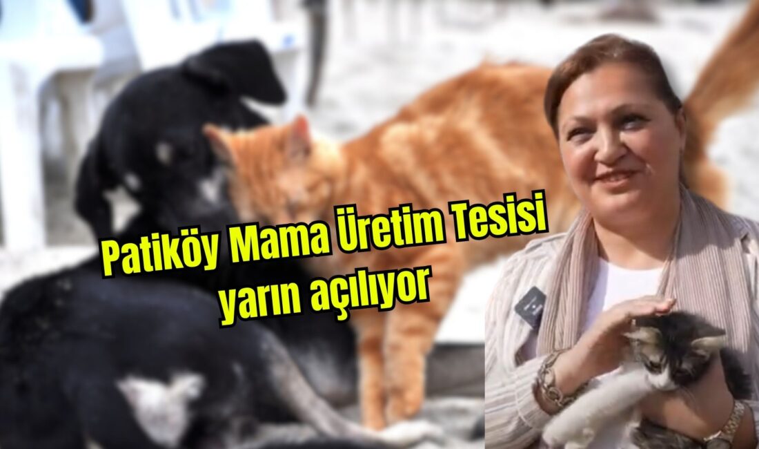 Patiköy Yarın saat 15.00’da Fuar Alanı Halk Ekmek Fabrikası Yanında