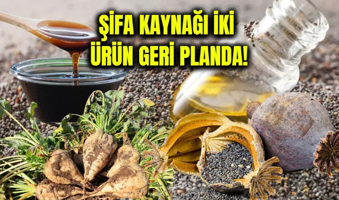 Afyonkarahisar’da yıllardır üretilen haşhaş ve şeker pancarından elde edilen haşhaş