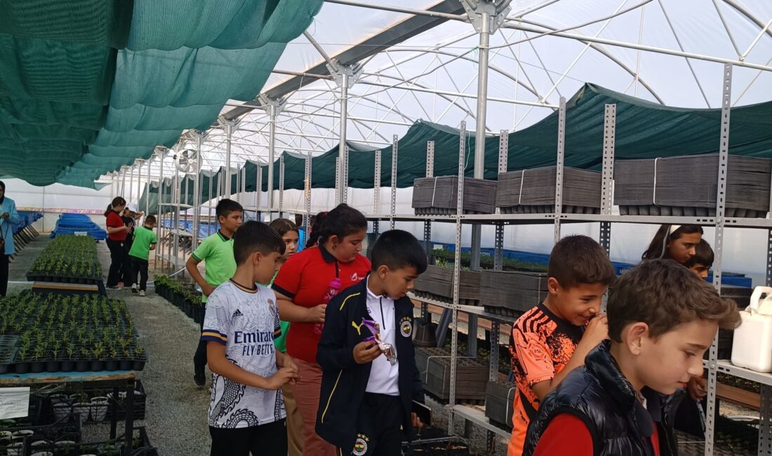 Emirdağlı öğrencilerden sera ziyareti Emirdağ Belediyesi Gençlik Merkezi öğrencileri, Emirdağ Belediye Başkanı Serkan Koyuncu’nun