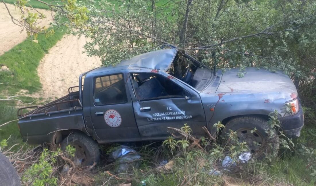 Hocalar İlçe Tarım Müdürlüğü hizmet aracı kaza yaptı Afyonkarahisar Hocalar İlçe Tarım Müdürlüğü aracı henüz belirlenemeyen sebepten kaza