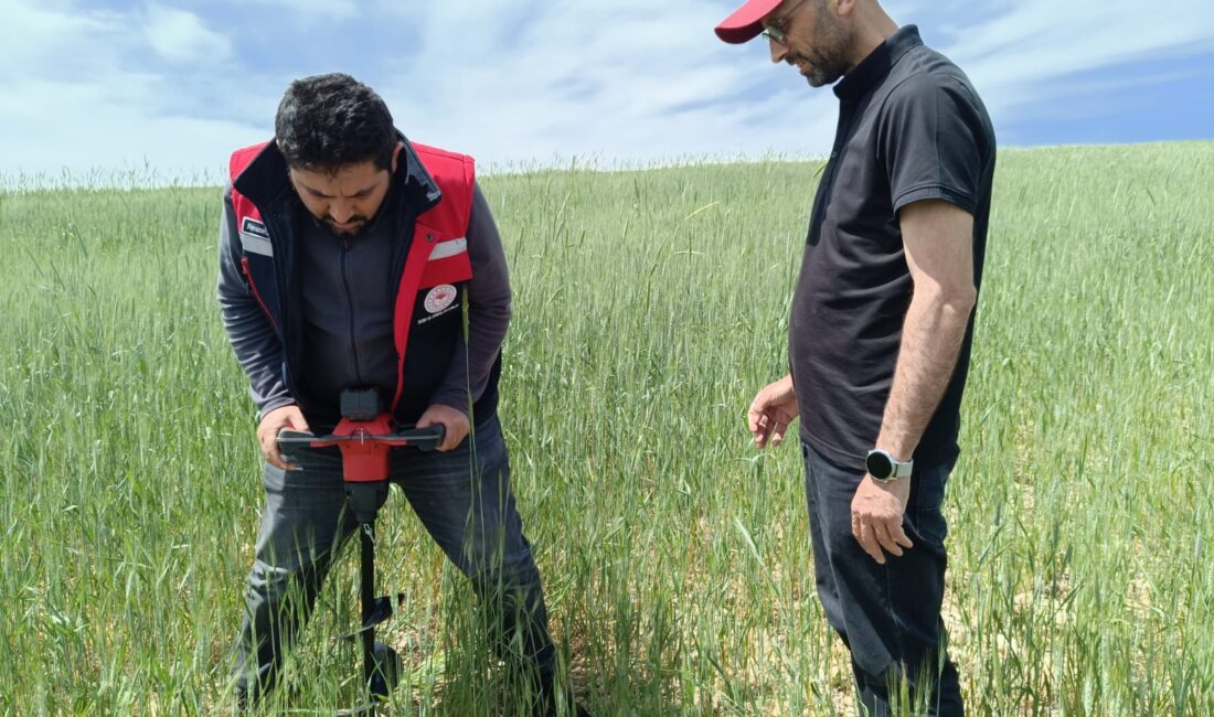 Tarım arazilerin korunmasına yönelik çalışmalar devam ediyor Afyonkarahisar İl Tarım ve Orman Müdürlüğü 5403 sayılı toprak koruma