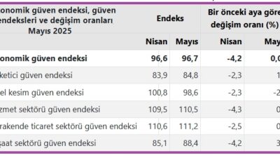 Türkiye İstatistik Kurumu (TÜİK), mayıs ayı Ekonomik Güven Endeksi verilerini