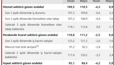 Türkiye İstatistik Kurumu Mayıs 2025 dönemine ait 'Hizmet, Perakende Ticaret